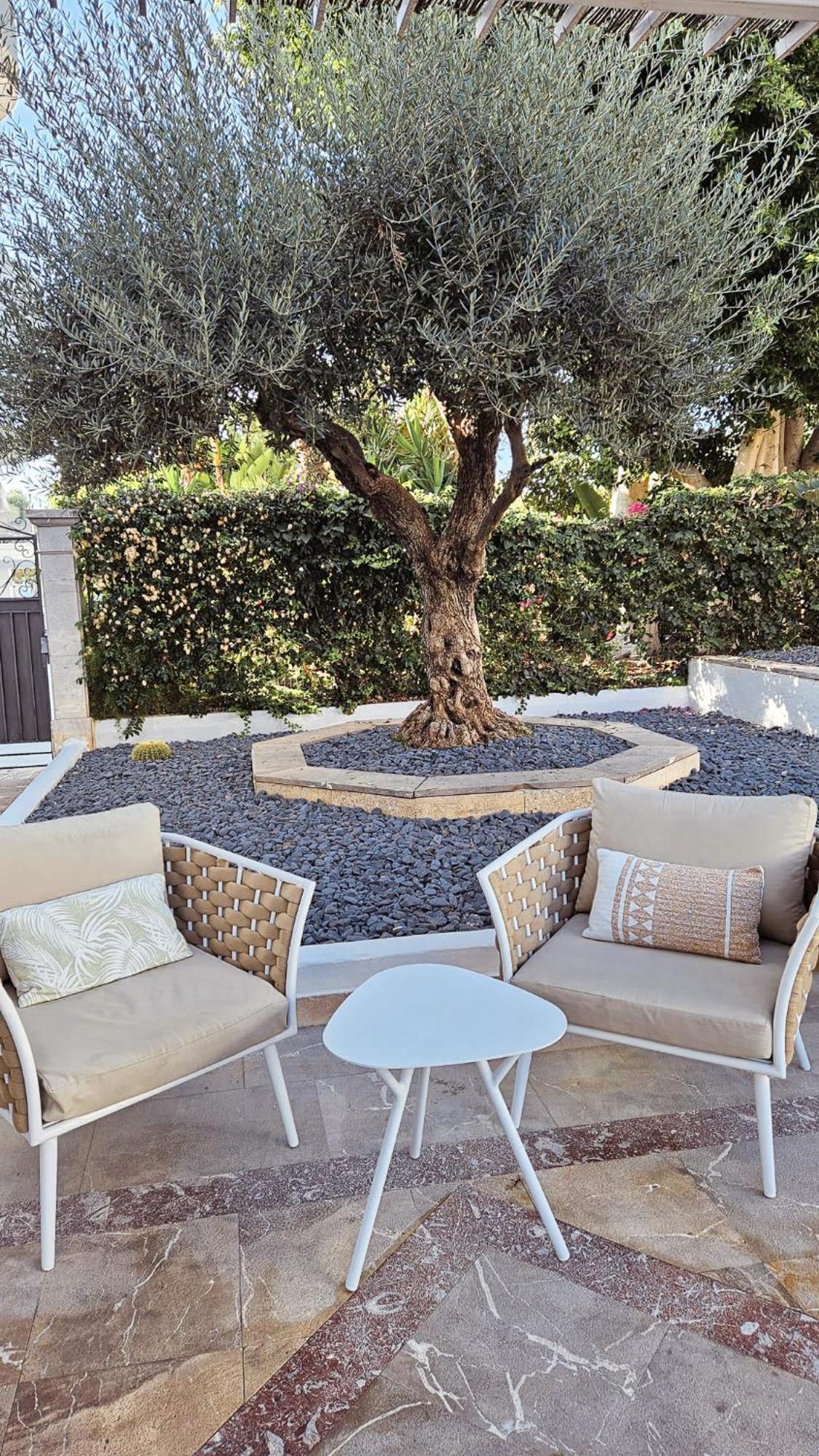 Sentido Fido Tucan - Adults Only Cala D´Or المظهر الخارجي الصورة